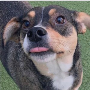 Meet your Posher, Juliana